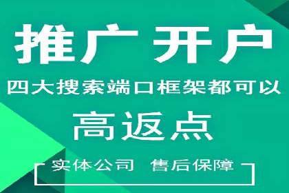 百度竞价价格优化，成功案例解析
